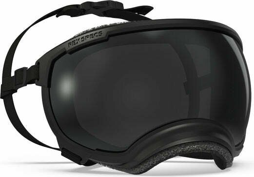 Rex Specs V2 Goggle Black