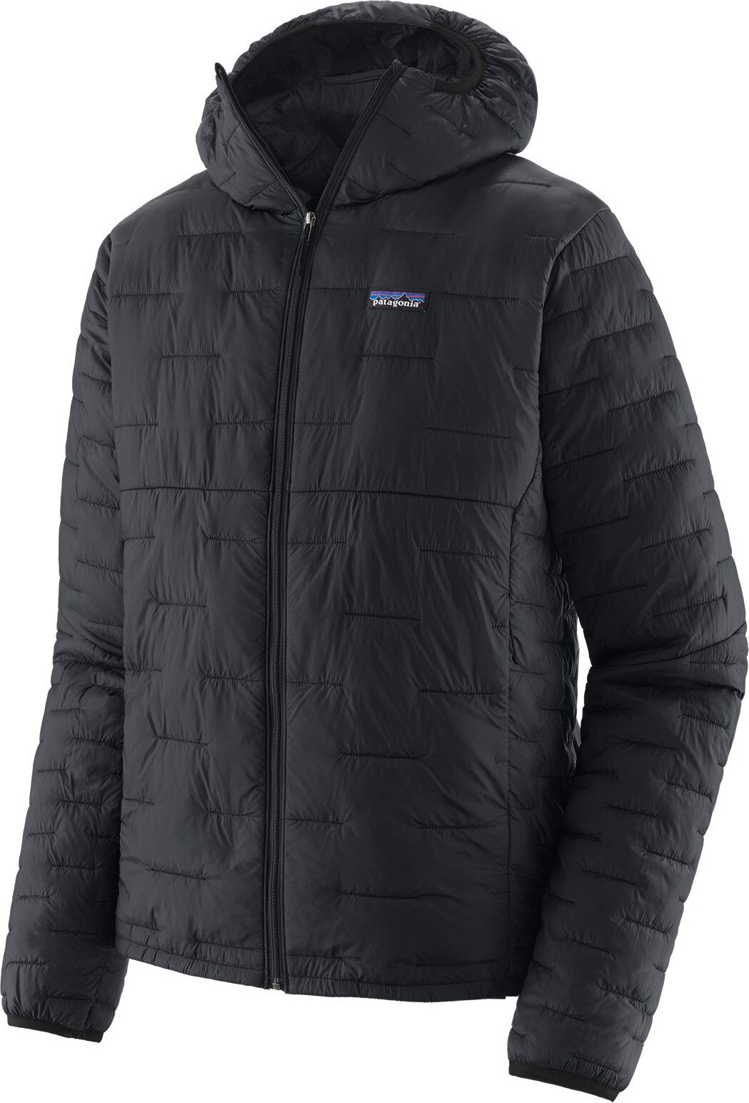 Patagonia Micro Puff Hoody Mens Revised Black
