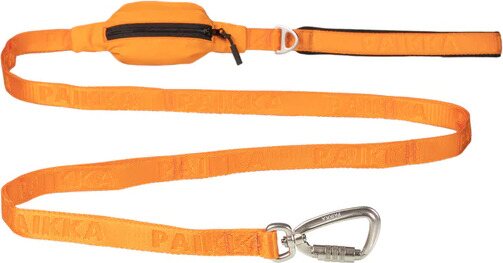 Paikka Visibility Leash for Dogs Orange