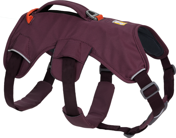 Ruffwear Web Master Harness Purple Rain