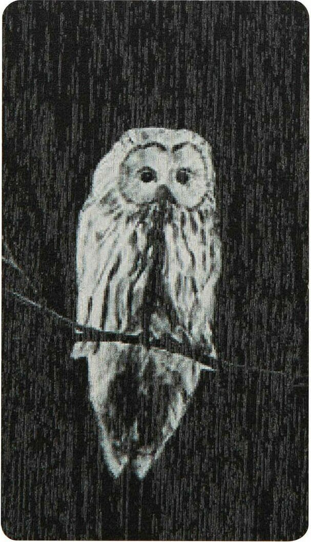 Miiko Magneetit Pöllö