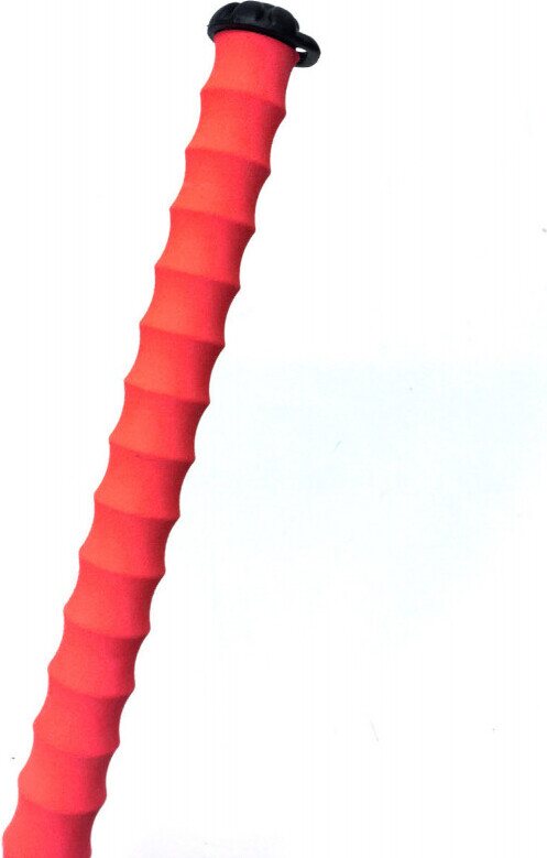 Les Batons D'Alain Corail