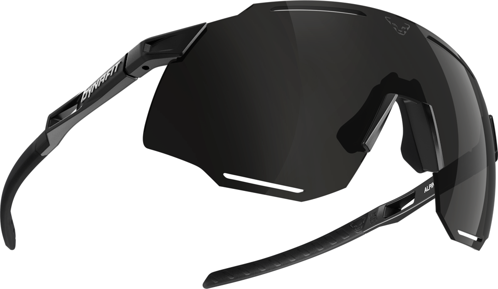 Dynafit Alpine Sunglasses Black Out / Nimbus CAT 3