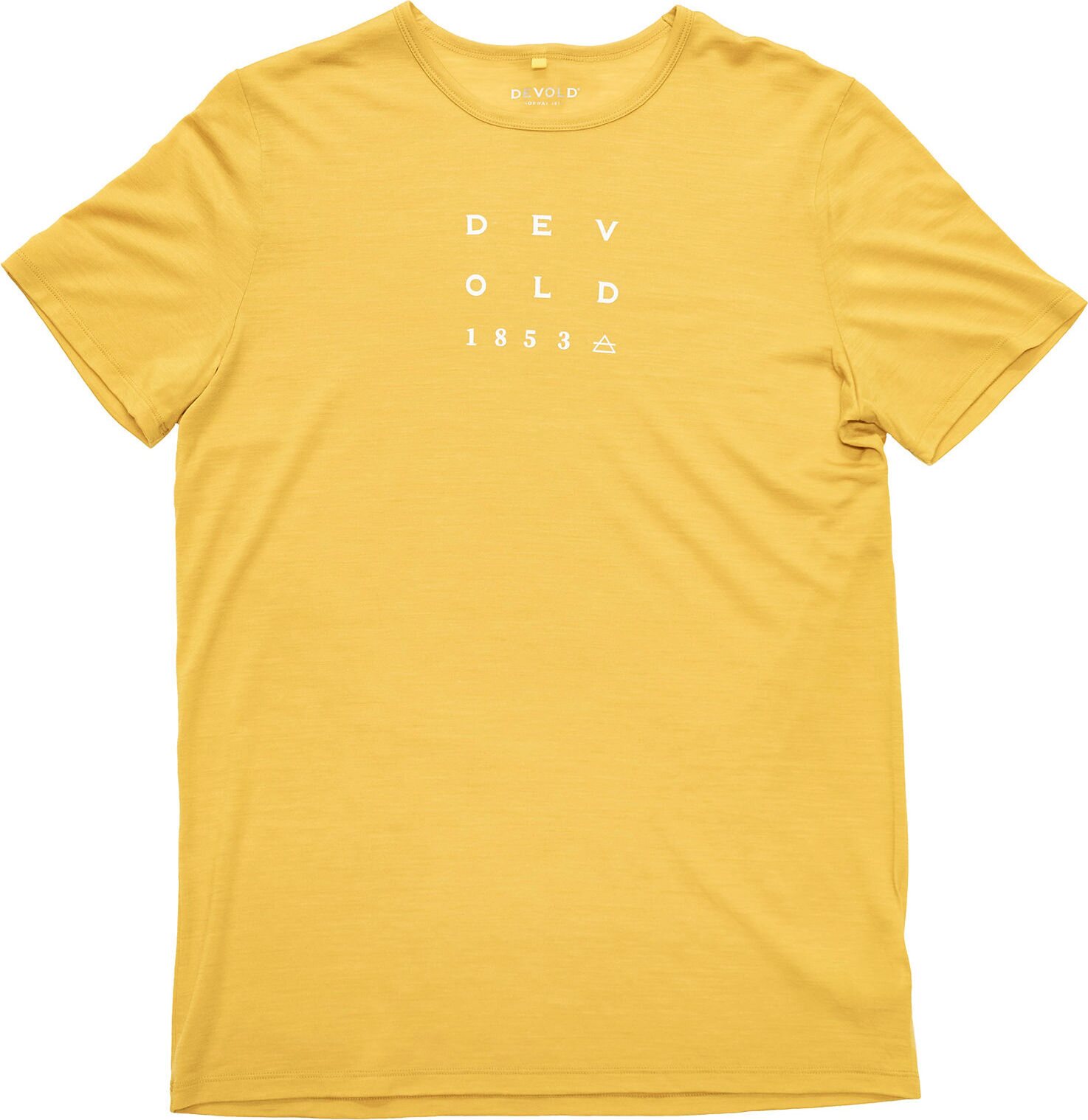 Devold Active 1853 Tee Mens Arrowwood