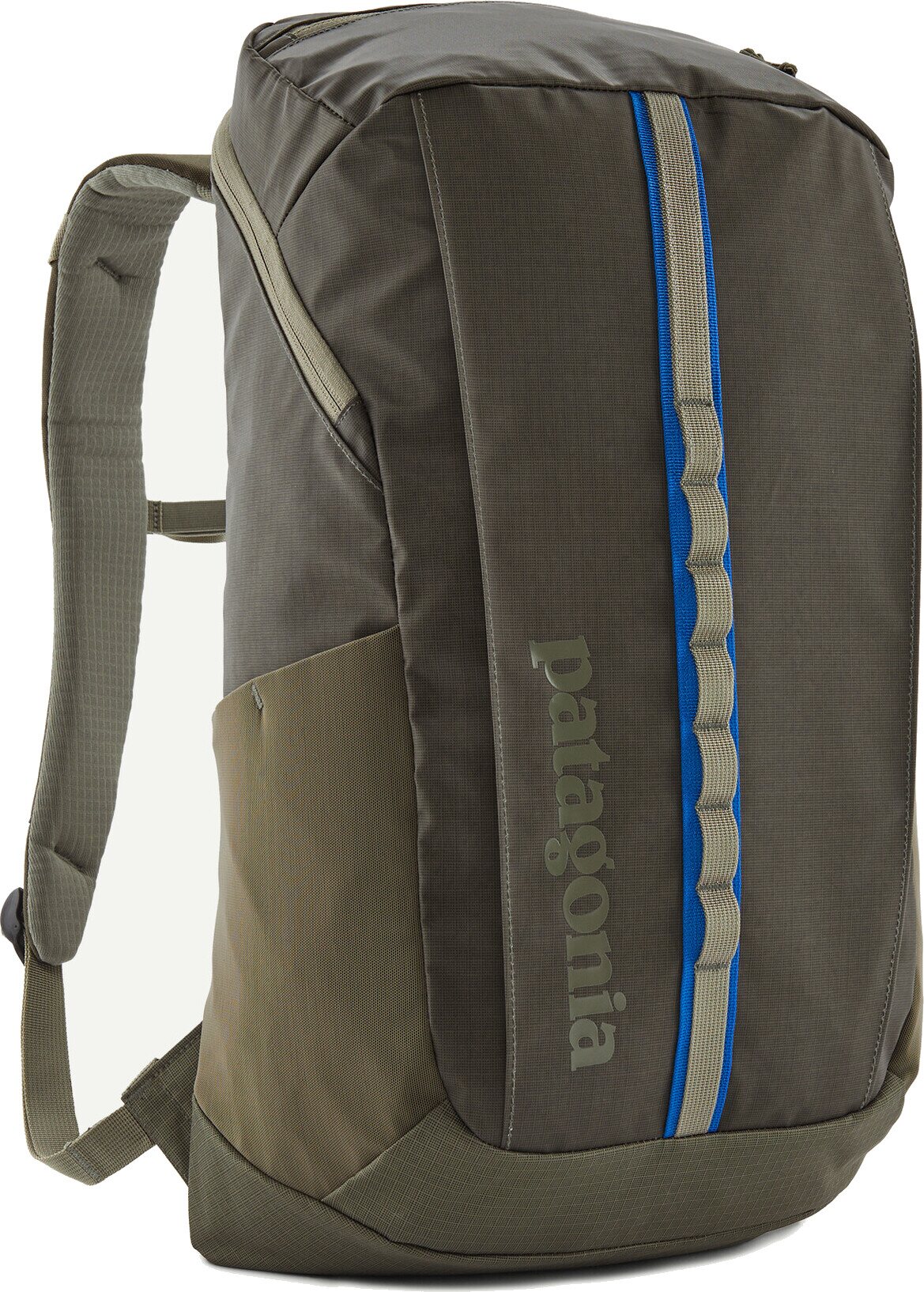 Patagonia Black Hole Pack 25L Basin Green
