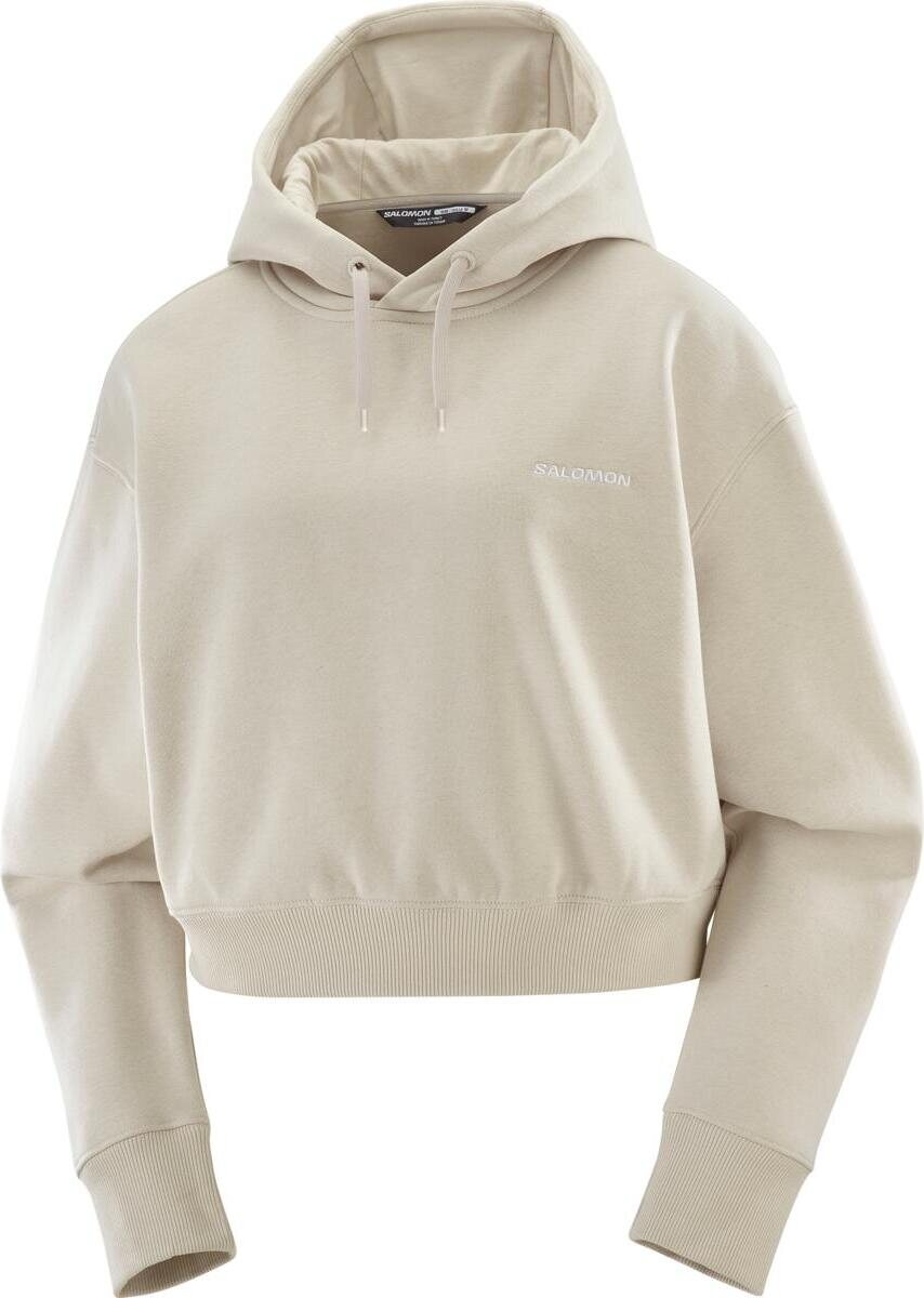 Salomon Logo Short Hoodie Womens Rainy Day