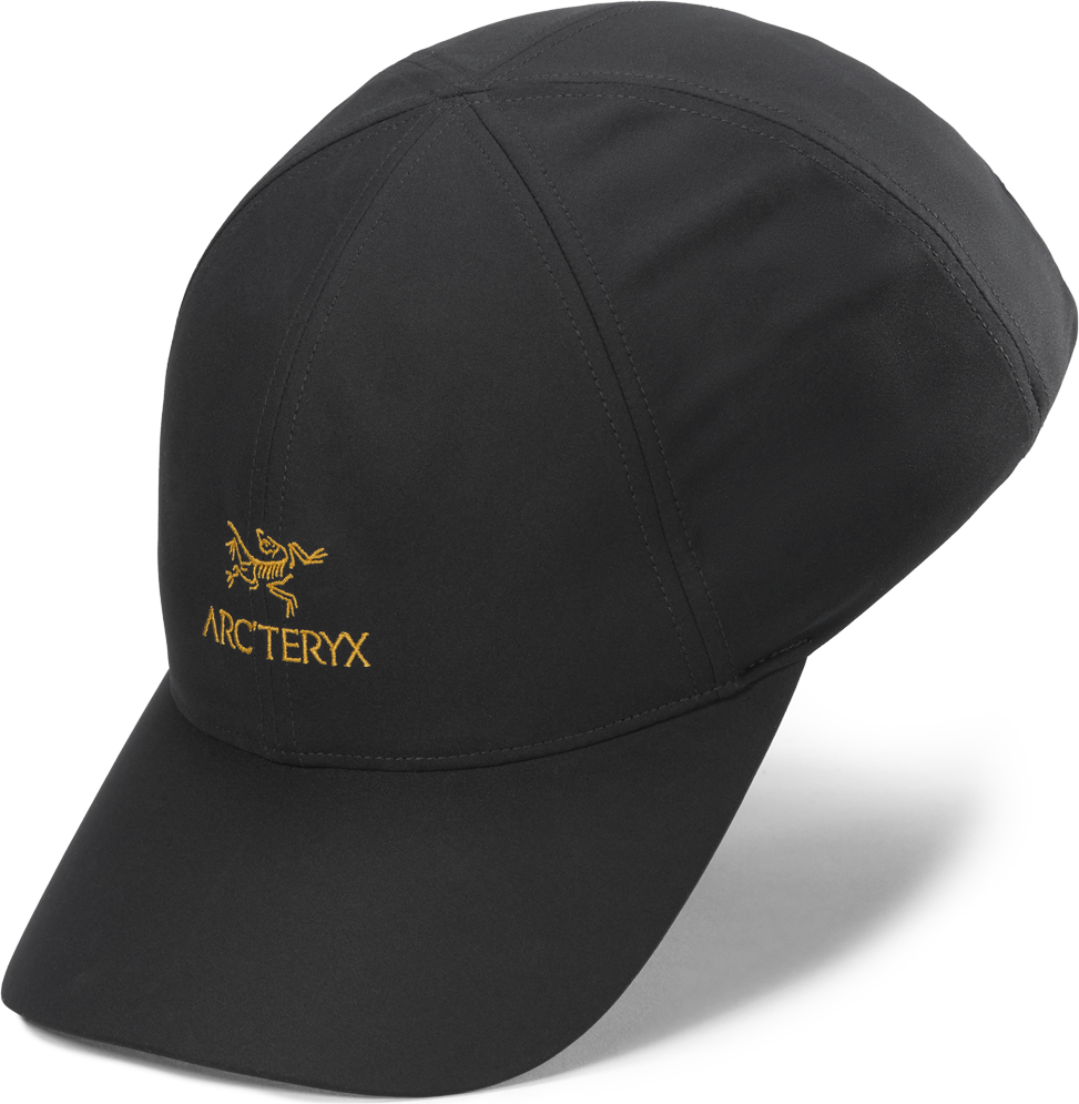 Arc'teryx Bird Word Cap 24K Black