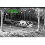 Flir Scout II-240