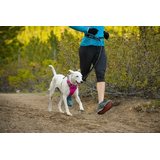 Ruffwear Roamer Leash (metal hook)