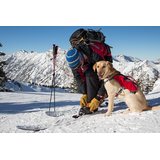 Ruffwear Web Master Pro Harness