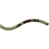 Mammut 10.0 Galaxy Classic 60m