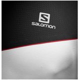 Salomon Fast Wing HZ SS Tee M