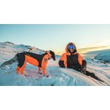 Non-stop Dogwear Protector Snow