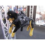 Petzl Helicopter Dog Harness DEMO