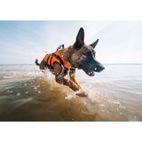 Non-stop Dogwear Safe life jacket 2.0 -pelastusliivi