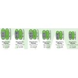 Indiana Wing Foil 77L Inflatable