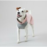 Paikka Recovery Winter Shirt for Dogs