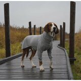 Paikka Recovery Shirt for Dogs