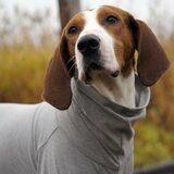 Paikka Recovery Shirt for Dogs