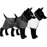Paikka Visibility Raincoat for Dogs