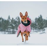 Paikka Visibility Winter Jacket for Dogs