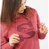 Salomon Outlife Logo Summer Hooded Pullover Womens