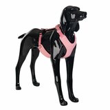 Paikka Visibility Harness for Dogs
