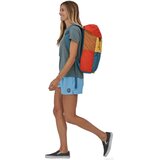 Patagonia Arbor Lid Pack 28L