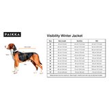 Paikka Winter Suit for Dogs