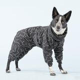 Paikka Winter Suit for Dogs