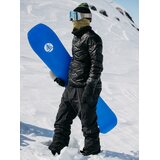 Burton Summit GTX 2L Pants Womens