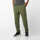 Salomon Runlife Pants Mens