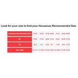 Havaianas Slide Classic