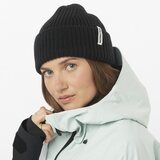 Salomon Snowbird Beanie