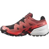 Salomon Spikecross 6 GTX