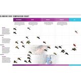 La Sportiva Theory Womens