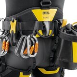 Petzl Avao Fast European Version