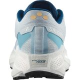 Salomon Aero Glide 3 Gravel Mens