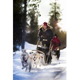 Fjällräven Kodiak Women Parka