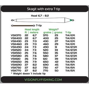 Vision Ace Skagit Float + T-tip
