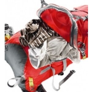 Deuter Spectro AC 32 SL Women's fit