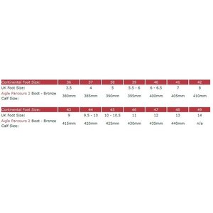 Aigle Parcours 2 Bronze