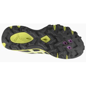 Asics Gel-Fujifell Racer, Men's