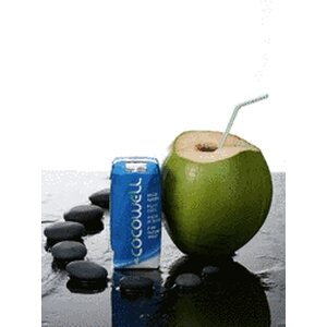 Cocowell Luomu Premium Kookosvesi 330ml