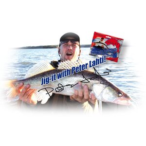 JIG-IT Peter Lahti Shad 11cm 5kpl