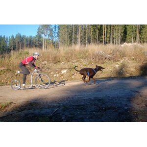 Kickbike Cross MAX 20V + juomapullo ja teline