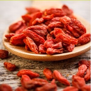 CocoVi Goji berries 600g