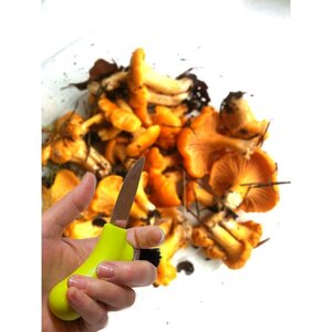 Morakniv Karl-Johan Mushroom