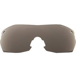 Smith Elite Pivilock V2 Replacement Lens, Gray