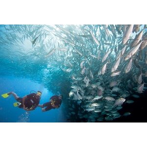 PADI Enriched Air Diver (Nitrox)
